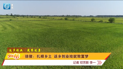 徐俊：扎根乡土 返乡创业绘就致富梦