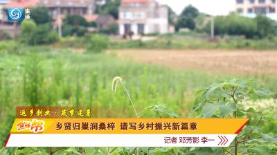 乡贤归巢润桑梓 谱写乡村振兴新篇章