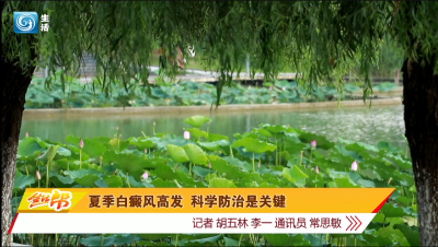 夏季白癜风高发 科学防治是关键