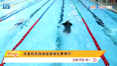 市直机关运动会游泳比赛举行