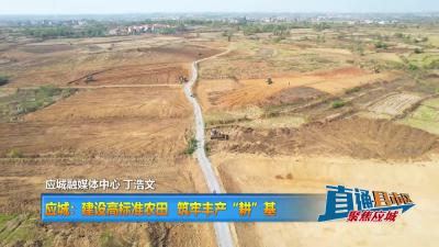【直通县市区】应城：建设高标准农田筑牢丰产“耕”基