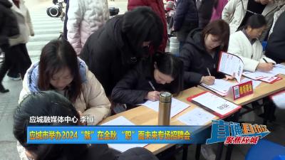 【直通县市区】应城市举办2024“就”在金秋 “职”面未来专场招聘会