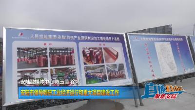 【直通县市区】安陆市领导调研工业经济运行和重大项目建设工作