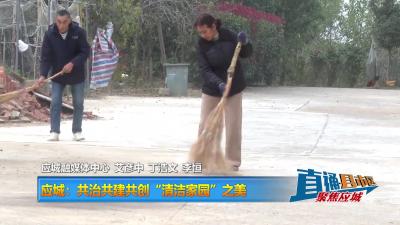【直通县市区】应城：共治共建共创“清洁家园”之美