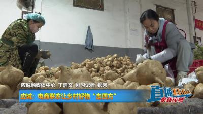 【直通县市区】应城：电商联农让乡村好物“走四方”