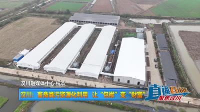 【直通县市区】汉川：畜禽粪污资源化利用 让“包袱”变“财富”