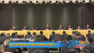 【直通县市区】中共大悟县委十五届九次全体会议举行