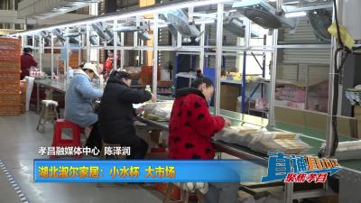 【直通县市区】湖北淑尔家居：小水杯 大市场