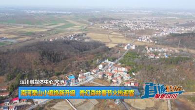 【直通县市区】南河栗山小镇焕新升级 奇幻森林春节火热迎客