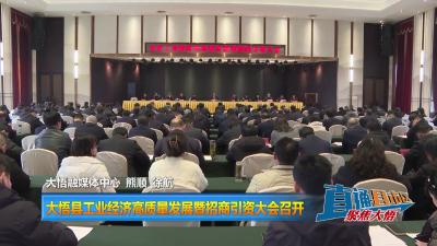 【直通县市区】大悟县工业经济高质量发展暨招商引资大会召开