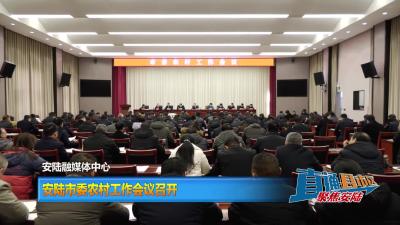 【直通县市区】安陆市委农村工作会议召开