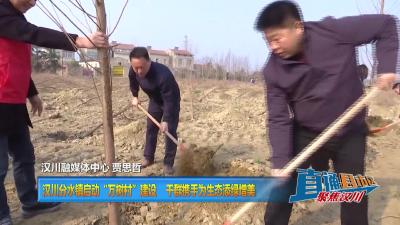 【直通县市区】汉川分水镇启动“万树村”建设 干群携手为生态添绿增美