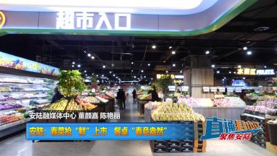 【直通县市区】安陆：春菜抢“鲜”上市 餐桌“春意盎然”