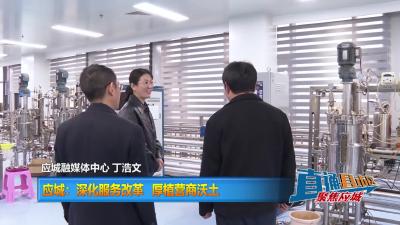 【直通县市区】应城：深化服务改革 厚植营商沃土