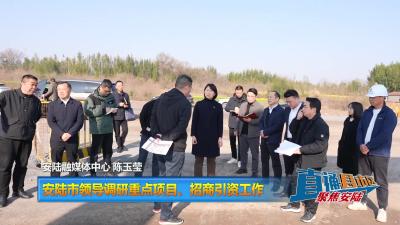 【直通县市区】安陆市领导调研重点项目、招商引资工作