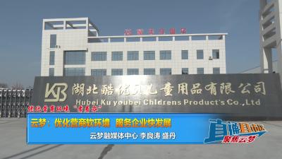 【直通县市区】优化营商环境“孝着办” 云梦：优化营商软环境  服务企业快发展
