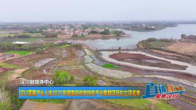【直通县市区】汉川莲藕产业入选2025年国家级优势特色产业集群项目拟立项名单
