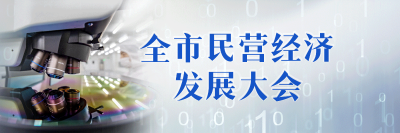 打造民营经济发展新高地，我们这样干