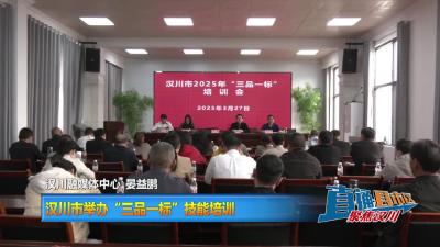 【直通县市区】汉川市举办“三品一标”技能培训