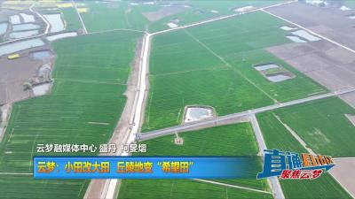 【直通县市区】云梦：小田改大田  丘陵地变“希望田”