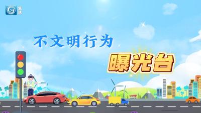 5月12日：直击城市交通乱象 这些交通陋习您身边有吗？