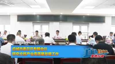 【直通县市区】应城市委召开专题会议 研究文旅产业高质量发展工作