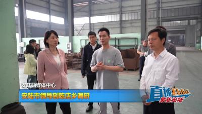 【直通县市区】安陆市领导到陈店乡调研