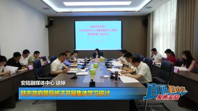 【直通县市区】安陆市政府领导班子开展集体学习研讨