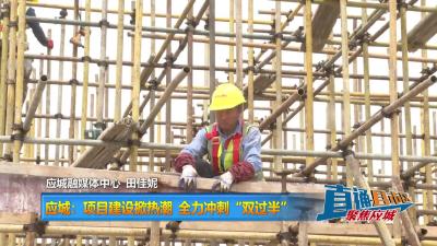 【直通县市区】应城：项目建设掀热潮 全力冲刺“双过半”