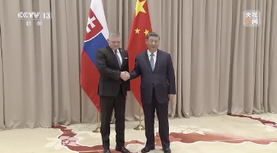 视频丨习近平会见斯洛伐克总理菲佐