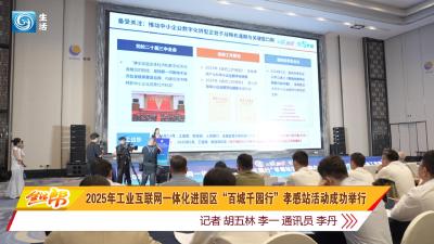 2025年工业互联网一体化进园区“百城千园行”孝感站活动成功举行