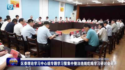 区委理论学习中心组专题学习暨集中整治违规吃喝学习研讨会召开