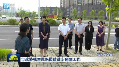 市政协视察民族团结进步创建工作