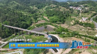 【直通县市区】大悟：防汛抗旱两手抓  水库调度维修保灌溉