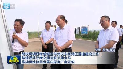 胡玖明调研孝感城区与武汉东西湖区通道建设工作 持续提升汉孝交通互联互通水平 推动两地协同发展向深度广度延伸