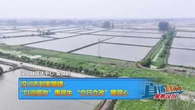 【直通县市区】汉川市刘家隔镇：“以巡促改”惠民生 “立行立改”暖民心