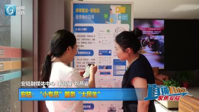 【直通县市区】安陆：“小专员”服务“大民生”