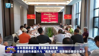孝感楚剧传承振兴与“槐荫船说”创新融合座谈会召开