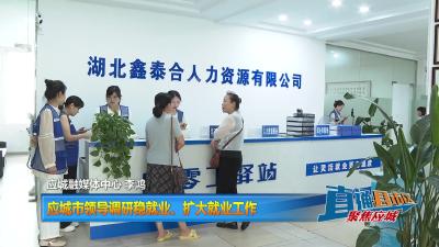 【直通县市区】 应城市领导调研稳就业、扩大就业工作