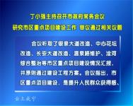 咸宁市政府审议通过市区“禁鞭令”