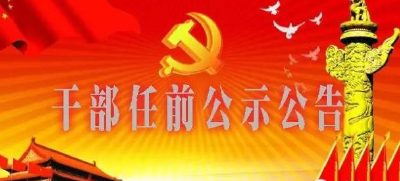 中共咸宁市委组织部干部任前公示