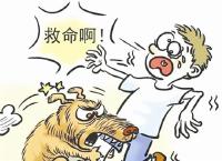 咸宁一女孩遭金毛犬攻击 民警连开三枪制服恶犬