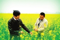 咸宁2项农业技术标准通过评审 促进绿色产业发展