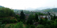 穷村的“蝶变” 