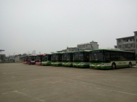 枫丹公交启动应对冰雪天气预案 确保市民安全出行