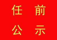 公示|丁小强拟任咸宁市委书记  王远鹤提名为咸宁市市长人选