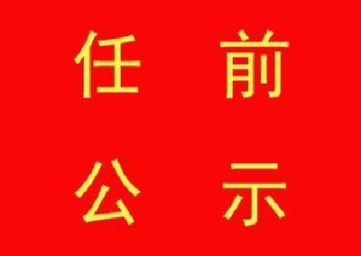 公示|丁小强拟任咸宁市委书记  王远鹤提名为咸宁市市长人选