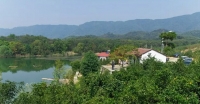 赤壁新增6个省级绿色示范村 村在林中人在画中