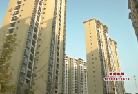 视频 | 湖南老人来咸买房定居