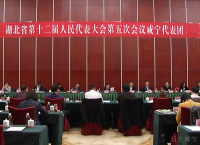 王晓东参加咸宁代表团审议时提出 发展升级 小康提速 绿色崛起 实干兴市  